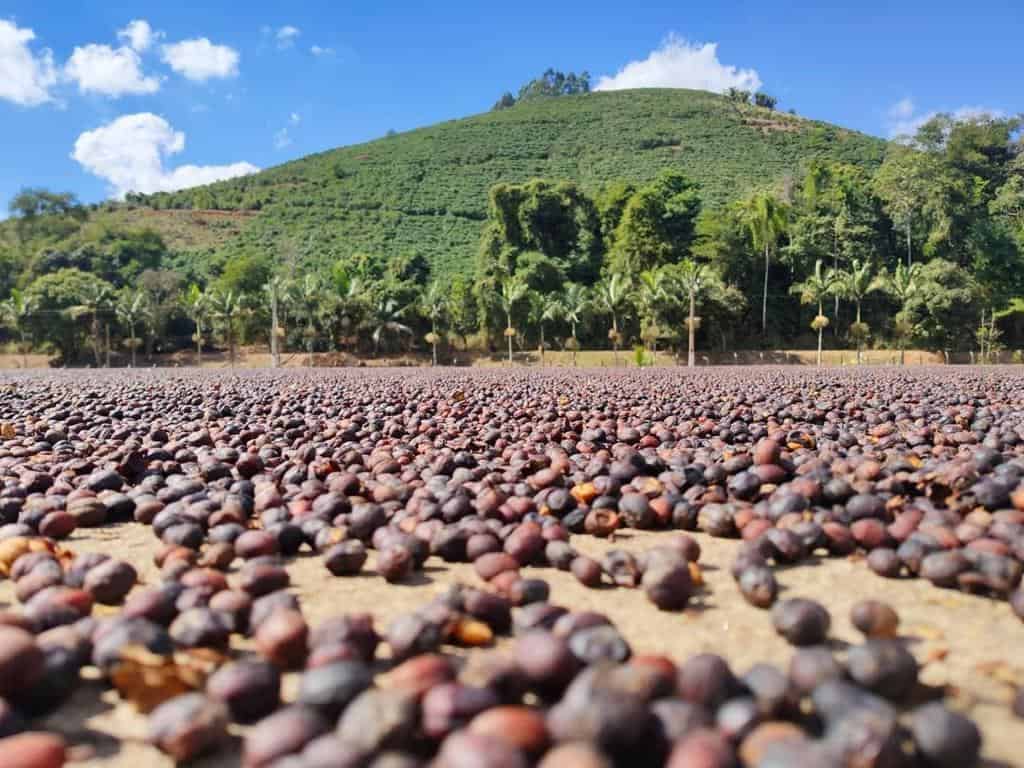 Fazenda Klem Sechage Soleil Naturel